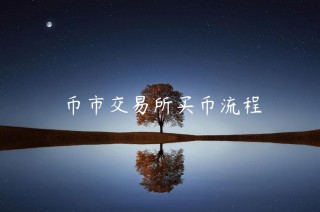 币市交易平台买币流程