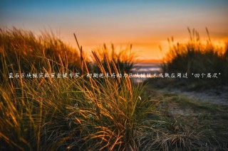 蓝石区块链实验室金键专家：初期泡沫将助力区块链技术成熟应用过“四个层次”