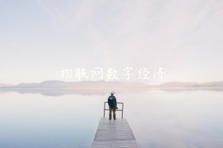 物联网数字经济