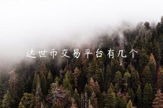 达世币交易平台有几个