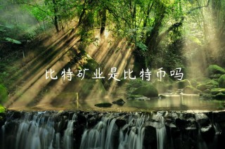 比特矿业是比特币吗