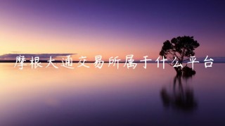 摩根大通交易平台属于什么平台