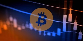 bitcoin交易平台app下载_bitcoin交易平台下载v1.0