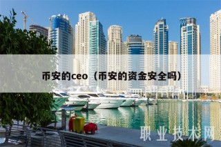币安的co（币安的资金安全吗