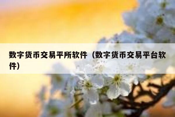 数字货币交易平所软件(数字货币交易平台软件)-第1张图片-欧意下载 数字货币交易平所软件(数字货币交易平台软件)-第1张图片-欧意下载