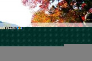 比特币矿机软件设置（比特币矿机软件设置在哪）