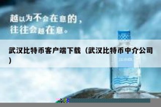 武汉比特币客户端下载（武汉比特币中介公司）