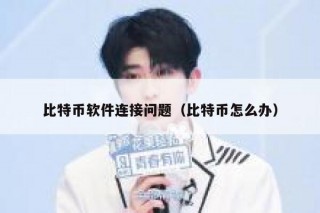 比特币软件连接问题（比特币怎么办）