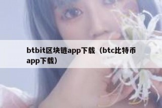 btbit区块链app下载（btc比特币app下载）