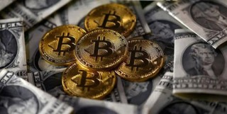 PTT币最新行情如何