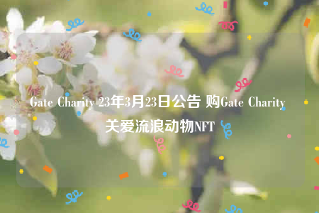 Gatb Charity 23年3月23日公告 购Gatb Charity 关爱流浪动物NFT-第1张图片-欧意下载