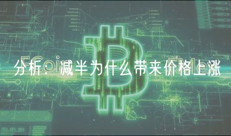 分析：减半为什么带来价格上涨-第1张图片-欧意下载