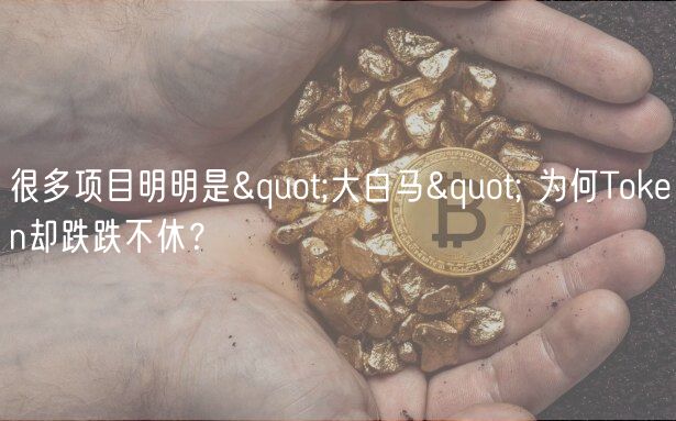 很多项目明明是"大白马" 为何Token却跌跌不休？-第1张图片-欧意下载
