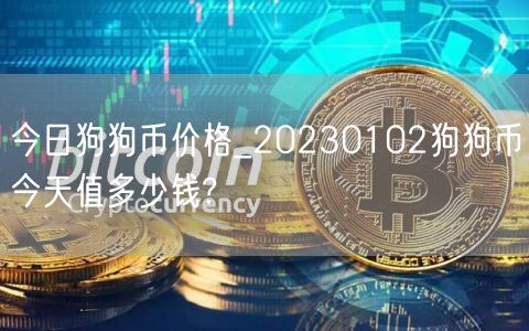 今日狗狗币价格_20230102狗狗币今天值多少钱?-第1张图片-欧意下载