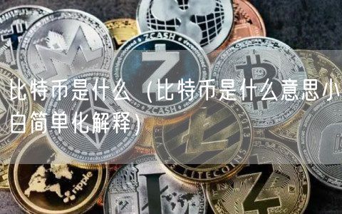 比特币是什么（比特币是什么意思小白简单化解释）-第1张图片-欧意下载