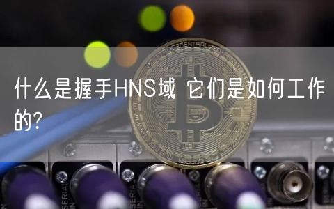 什么是握手HNS域 它们是如何工作的?-第1张图片-欧意下载