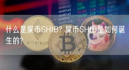 什么是屎币SHIB? 屎币SHIB是如何诞生的?-第1张图片-欧意下载