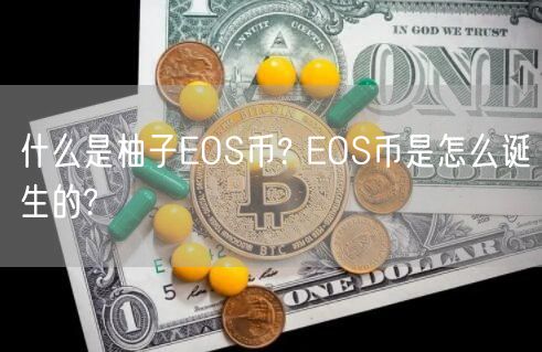 什么是柚子EOS币? EOS币是怎么诞生的?-第1张图片-欧意下载