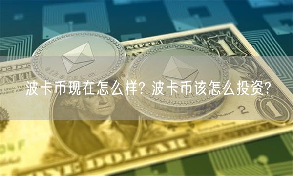 波卡币现在怎么样? 波卡币该怎么投资?-第1张图片-欧意下载