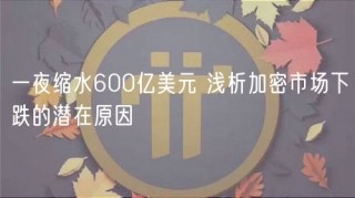 一夜缩水600亿美元 浅析加密市场下跌的潜在原因