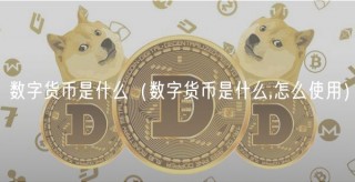 数字货币是什么（数字货币是什么,怎么使用）