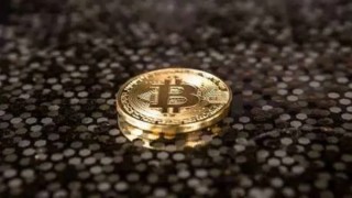 TD币今天的价格是多少