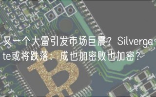 又一个大雷引发市场巨震？Silvrgat或将跌落：成也加密败也加密？