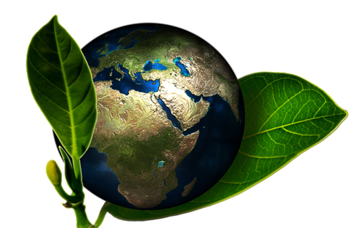 环保币最高价格是多少 GEC官方最新消息-第1张图片-欧意下载