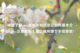 欧意下载最新官方app-深度了解ok 交易平台和火币 交易平台基本介绍 ok 交易平台和火币 交易平台哪个手续费低