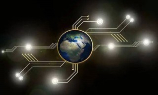 D币最新价格是多少