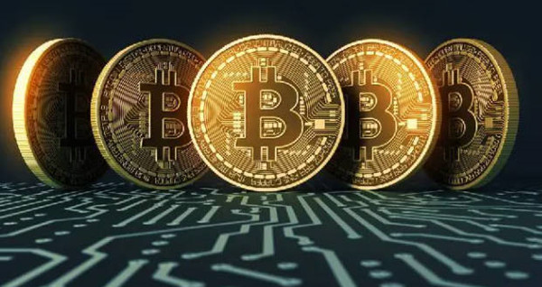 波卡生态是什么意思-第1张图片-欧意易易下载