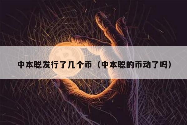 中本聪发行了几个币（中本聪的币动了吗）-第1张图片-欧意易易下载