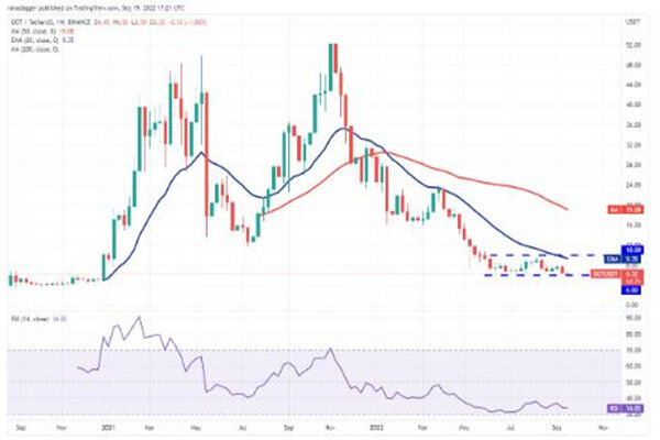 波卡币价格今日行情 DOT币最新消息-第3张图片-欧意易易下载 波卡币价格今日行情 DOT币最新消息-第3张图片-欧意易易下载