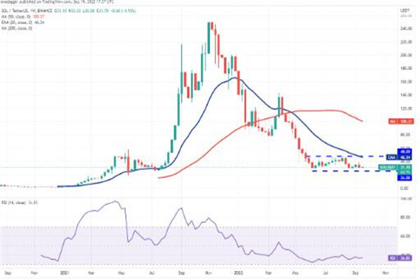 sol币今日最新价格 索拉纳币最新行情消息-第3张图片-欧意易易下载 sol币今日最新价格 索拉纳币最新行情消息-第3张图片-欧意易易下载