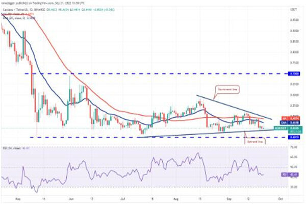 艾达币今日最新价格 ADA最新行情消息-第3张图片-欧意易易下载