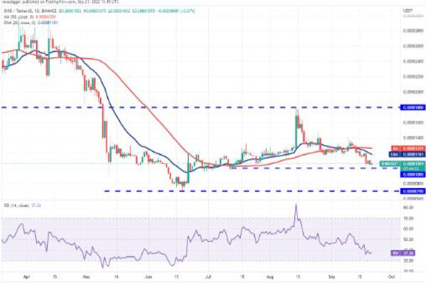 屎币今日最新价格行情 SHIB今日最新消息-第3张图片-欧意易易下载