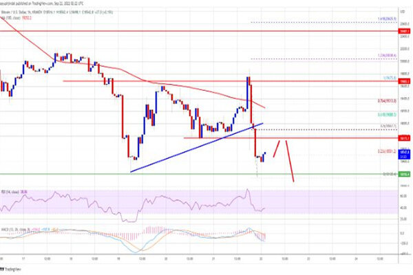 比特币今日最新价格是多少 BTC今日最新行情消息-第3张图片-欧意易易下载 比特币今日最新价格是多少 BTC今日最新行情消息-第3张图片-欧意易易下载
