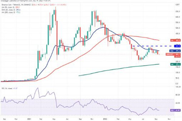 币安币最新价格行情美元 BNB最新趋势消息-第3张图片-欧意易易下载