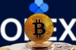 mc交易所官网下载_mc交易所app官网下载安装