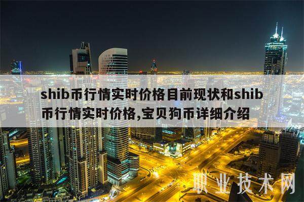 shib币价格(shib币价格今日行情)