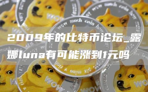 2009年的比特币论坛_露娜luna有可能涨到1元吗
