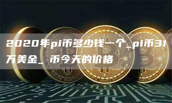 2020年pi币多少钱一个_pi币31万美金_π币今天的价格