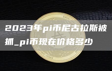 2023年pi币尼古拉斯被抓_pi币现在价格多少