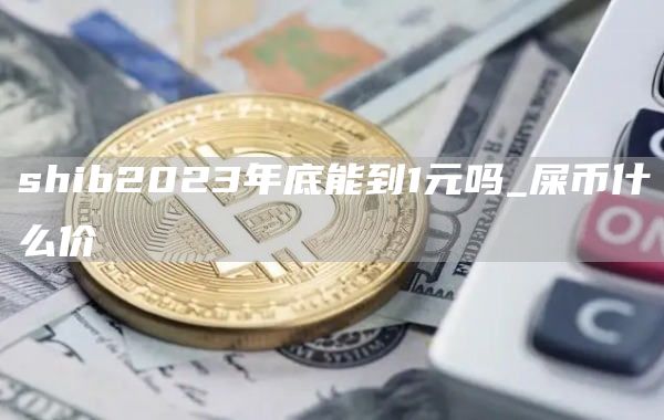 shib2023年底能到1元吗_屎币什么价