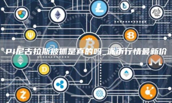 Pi尼古拉斯被抓是真的吗_派币行情最新价