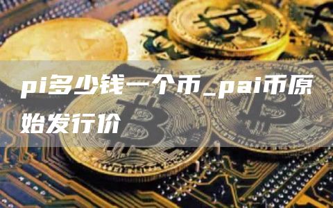pi多少钱一个币_pai币原始发行价