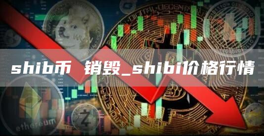 shib币 销毁_shibi价格行情