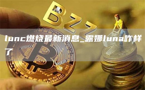 lunc燃烧最新消息_露娜luna咋样了
