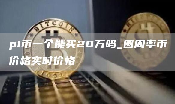 pi币一个能买20万吗_圆周率币价格实时价格