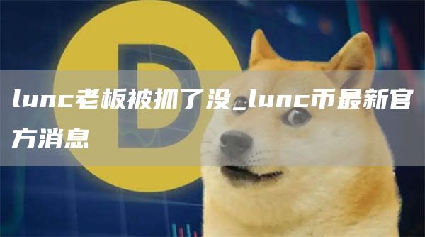 lunc老板被抓了没_lunc币最新官方消息